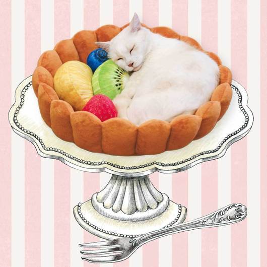 Cat Fruit Tart Bed