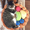 Cat Fruit Tart Bed