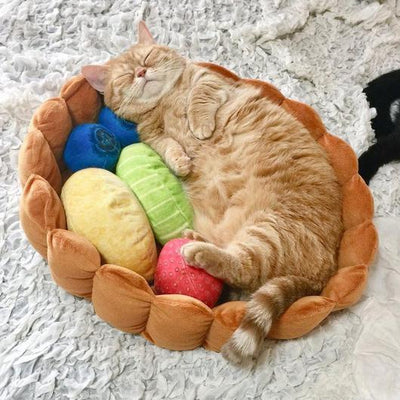 Cat Fruit Tart Bed