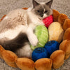 Cat Fruit Tart Bed