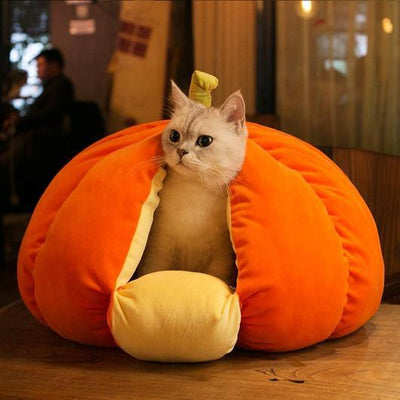 [SALE] Extra Plush Cat Pumpkin Bed