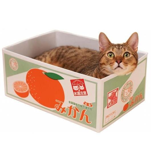 Japanese Fruit Box Cat Bed